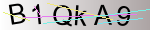 Captcha anti-spam